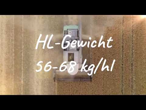 Start Getreideernte 2020