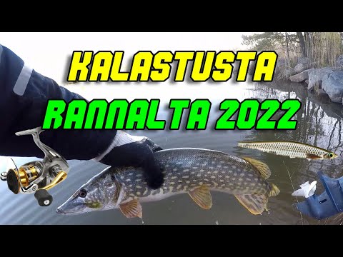 Kalastusta Rannalta 2022