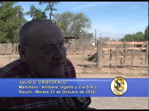 Arribere, Ugarte y Cía. S.R.L. - Nota Julio D Cristofalo - Rauch - 21/10/2014