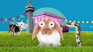 Market Street Lawn Animation