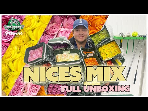 JFTV: Jet Fresh Growers' New "NICES MIX"  40cm Roses Unboxing with Casey