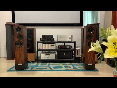 Linn Ikemi +Mark 36+38s+ Threshold T200+Living Voice 1BX-rw