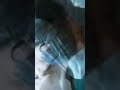 MasTram Web Series Kiss Scene Web Series Hot Scene