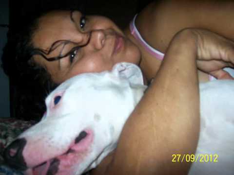 Christina Perri - A thousand years  para mi mejor  compañero y amigo RoOlfi