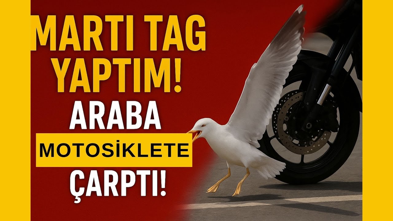 Martı Tag Yaptım! Motosikletime Araba Çarptı!