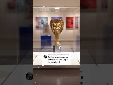 Encostei na primeira Taça da Copa