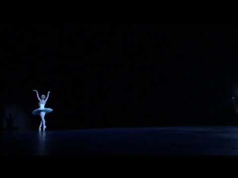 Dying swan (Iana Salenko)