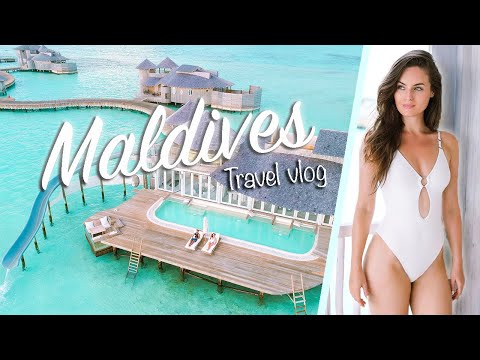 download lagu mp3 mp4 Shauna Louise, download lagu Shauna Louise gratis, unduh video klip Shauna Louise