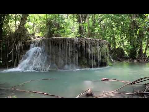 OPwekking 413 Hoe kom ik van zonden vrij