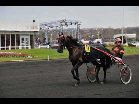 PRIX D'AMERIQUE 2009 MEAULNES DU CORTA