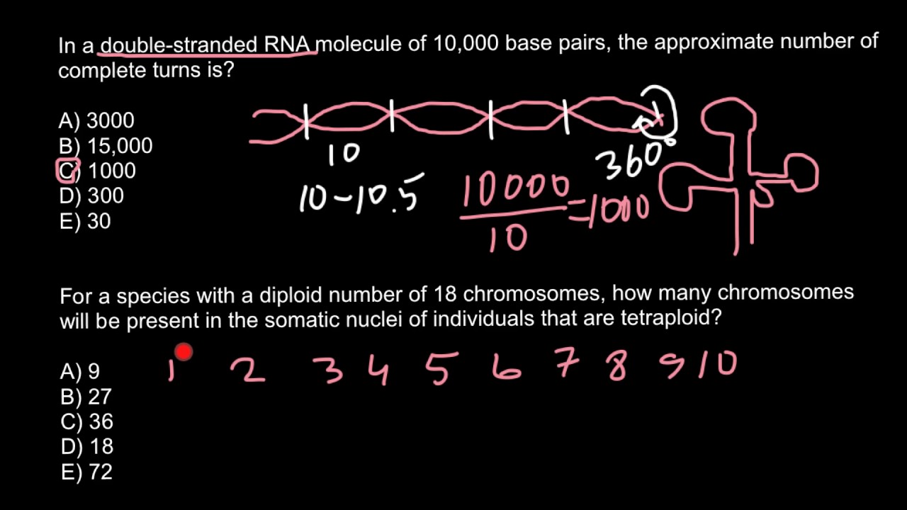 How to solve Ploidy problems in genetics