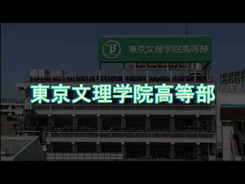動画の説明
