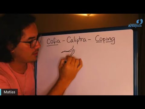 Day 349 COPING - Matias De Stefano - English Edit
