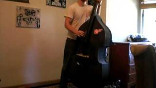 Stray Cats- Race With The Devil