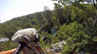 Sam and Momo's Historic Banning Mills Zipline Adventure