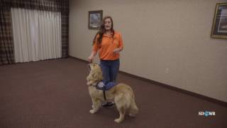 SDWR Training Between