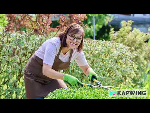 Videos from Zoned Garden