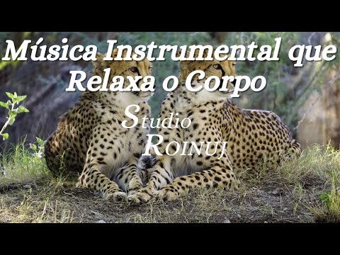Música Instrumental que Relaxar o Corpo.