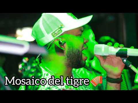 Mosaico del tigre/ Alejandro Torres y las estrellas del ritmo 2023