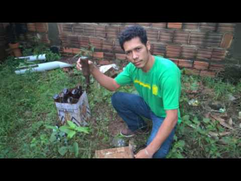 Escola Carmelita Miranda-MS - EJA