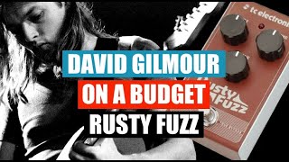 Video thumbnail for How to sound like David Gilmour on a budget - TC Electronic Rusty Fuzz by gilmourish