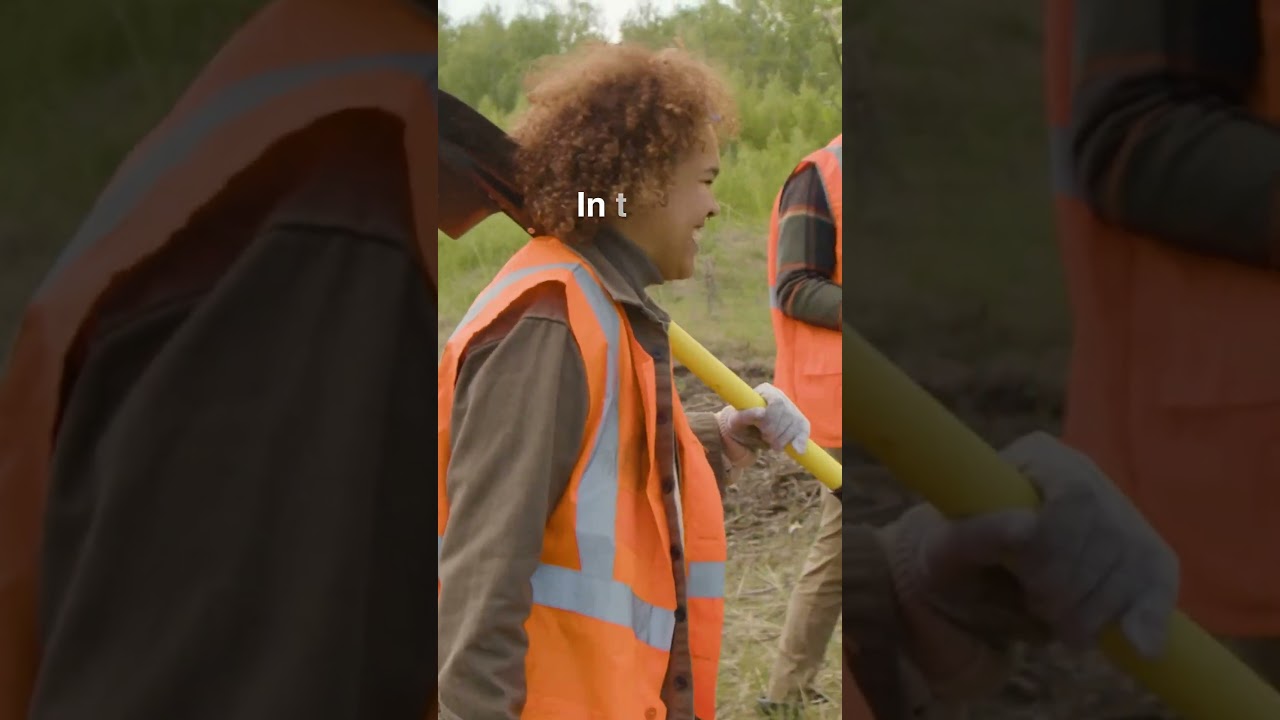 Model Forests and Gender-Responsive Strategies