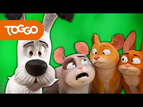 Idefix Deutsch | Grüner Qualm | Ganze Folge | TOGGO Serien