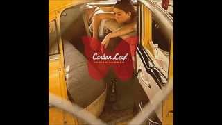 What About Everything - Carbon Leaf