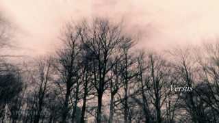 If These Trees Could Talk  - The First Fire HD 1080p  ☮