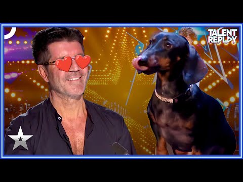 Puppies Steal the Show: Diana Vedyashinka's BGT Audition