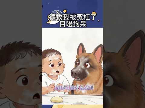 德牧我被冤枉了，目瞪狗呆 #萌寵 #修狗 #搞笑影片 #狗的心思都寫在臉上