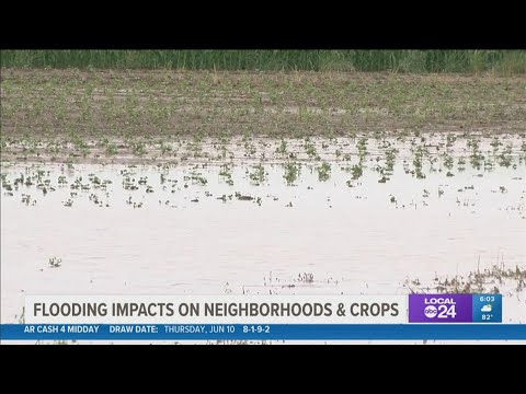 'We've got a real catastrophe on our hands' | Flooding impacting Clarksdale, Mississippi, neighborho