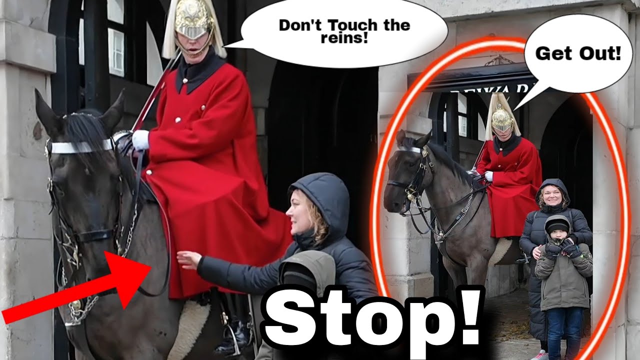 "YOU WON'T BELIEVE IT"!😳 Wait until you see how this silly tourist reacts!