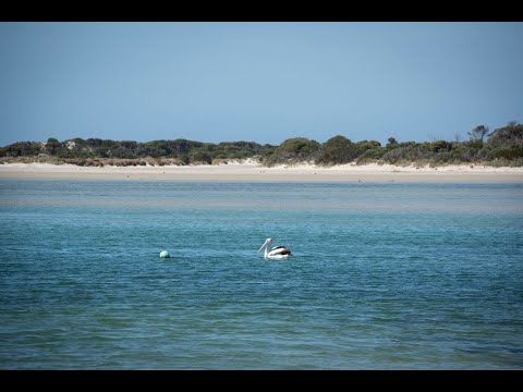PID 1686307 North East River Road, Palana, Launceston and North East, 0 غرف, 0 حمامات, Lifestyle Property