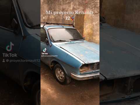 Mi proyecto Renault12 TL🚀🔥  #proyecto #renault #renault12 #merlo #buenosaires #argentina #viral #fyp