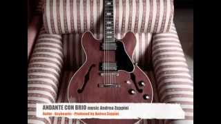 ANDANTE CON BRIO - music Andrea Zuppini (Gibson 335 vintage)