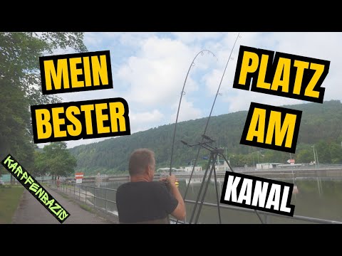 Mein bester Platz am Kanal | Karpfenangeln am Kanal