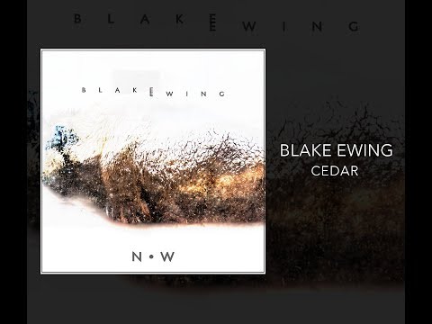 Cedar (Official Video)