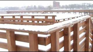 preview picture of video 'CEREA -  Inverno nel Parco delle Vallette 2009.mp4'