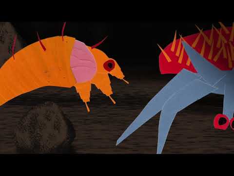 Micróbios na floresta