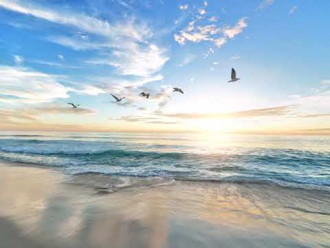 Qigong Meditation Standing on the Beach narrated by Sifu Paul Nathan