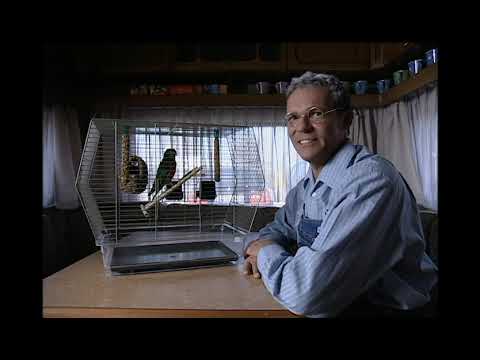 "Peter & Eberhardt" - bullyparade - TV Comedyshow / 2002