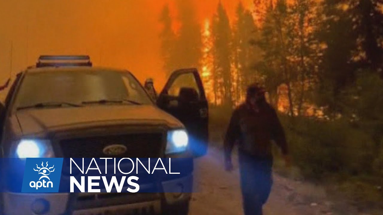 youtube video id=Pqdd0IWLhIA