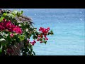 Armik - Swept Away