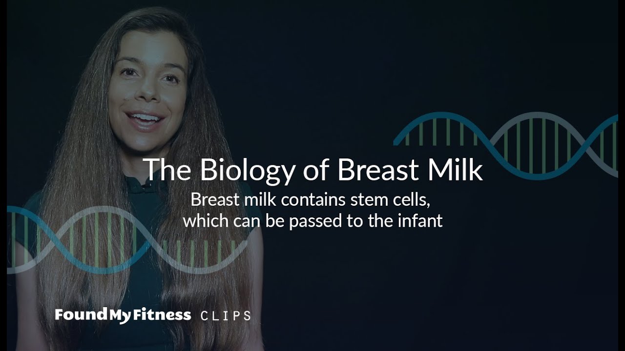 Breast milk contains stem cells, which can be passed to the infant | The Biology of Breast Milk