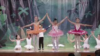 Ballet Xmas 2018
