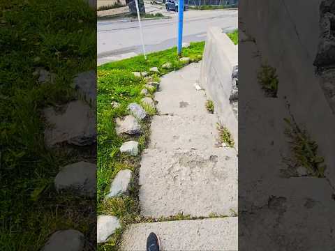 Ushuaia, Tierra del Fuego: walking on the southernmost city of the world