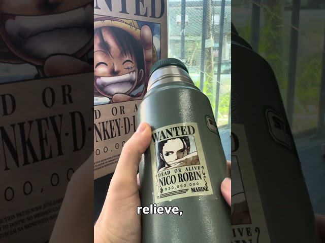 Vídeo relacionado con CoolChange Sticker en Vinyl de One P., 60 Unidades
