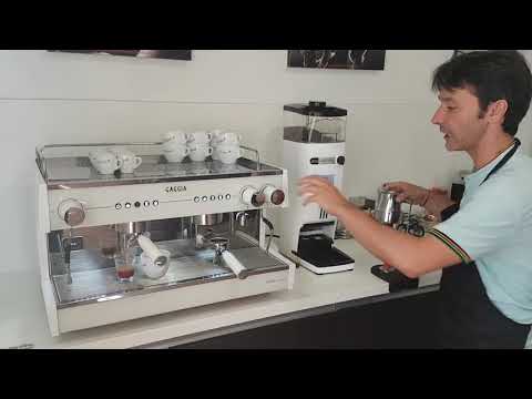 Professional Coffee Machine Operation and Beverage Preparation - GAGGIA VETRO