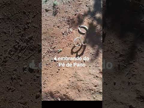 UM CAVALO DE TRÊS PERNAS !? #picapau #pedepano #cavalo #desenho #toledo #mg #minasgerais #tv